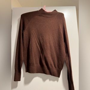 Brown Everlane Cashmere Sweater